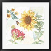 Framed 'Sunflower Splendor VIII' border=