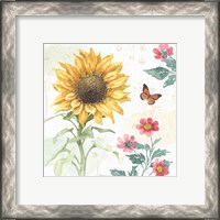 Framed 'Sunflower Splendor V' border=