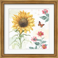 Framed 'Sunflower Splendor V' border=