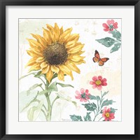 Framed 'Sunflower Splendor V' border=