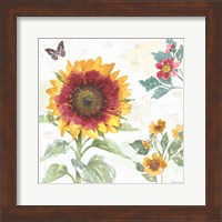 Framed 'Sunflower Splendor VII' border=