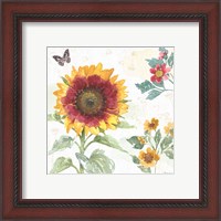 Framed 'Sunflower Splendor VII' border=