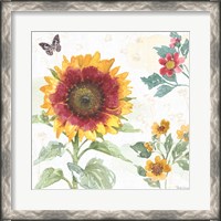 Framed 'Sunflower Splendor VII' border=