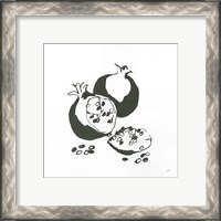 Framed 'Pomegranate II BW' border=