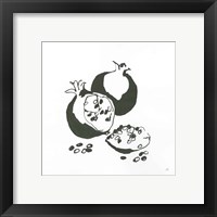 Framed 'Pomegranate II BW' border=