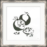 Framed 'Pomegranate II BW' border=