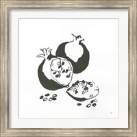 Framed 'Pomegranate II BW' border=