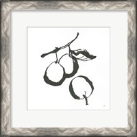 Framed 'Plums II BW' border=