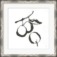 Framed 'Plums II BW' border=