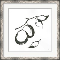 Framed 'Plums I BW' border=