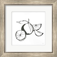 Framed 'Oranges BW' border=