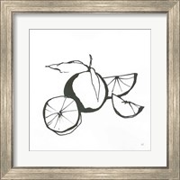 Framed 'Oranges BW' border=