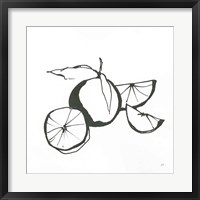 Framed 'Oranges BW' border=