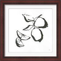 Framed 'Limes BW' border=