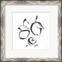 Framed 'Lemons BW' border=