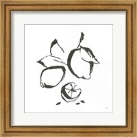 Framed 'Lemons BW' border=