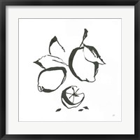 Framed 'Lemons BW' border=