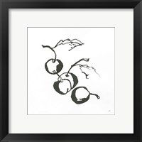 Framed 'Cherries BW' border=