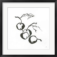 Framed Cherries BW