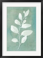 Sage Leaves I Framed Print