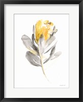 Framed Spirit Flower I