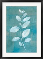 Cool Leaves II Framed Print