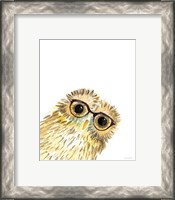 Framed 'Owl in Glasses' border=