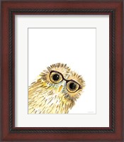 Framed 'Owl in Glasses' border=