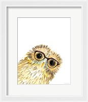 Framed 'Owl in Glasses' border=