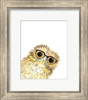 Framed 'Owl in Glasses' border=