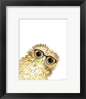 Framed 'Owl in Glasses' border=