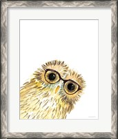 Framed 'Owl in Glasses' border=