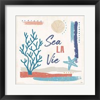 Framed 'Coastal View VI' border=