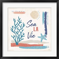 Coastal View VI Framed Print