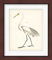 Framed 'Vintage Heron II' border=