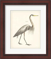 Framed 'Vintage Heron I' border=