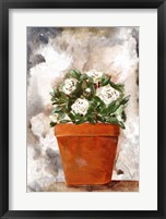 Framed White Flower Clay Pot I