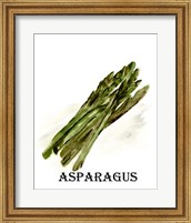 Framed 'Veggie Sketch I-Asparagus' border=