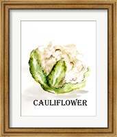 Framed 'Veggie Sketch VI-Cauliflower' border=