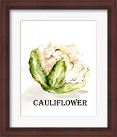 Framed 'Veggie Sketch VI-Cauliflower' border=