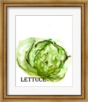 Framed 'Veggie Sketch IX-Lettuce' border=