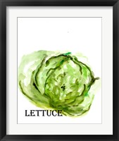 Framed 'Veggie Sketch IX-Lettuce' border=