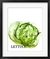 Framed Veggie Sketch IX-Lettuce