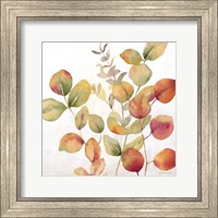 Framed 'Eucalyptus Leaves Spice I' border=