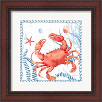 Framed 'Nautical Sea Life I-Crab' border=