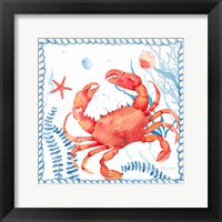 Nautical Sea Life I-Crab Framed Print