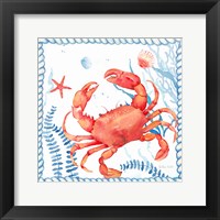 Framed 'Nautical Sea Life I-Crab' border=