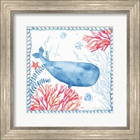 Framed 'Nautical Sea Life II-Whale' border=