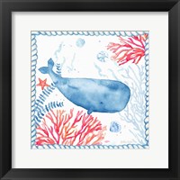 Framed 'Nautical Sea Life II-Whale' border=