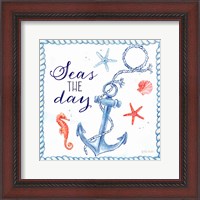 Framed 'Nautical Sea Life III-Anchor' border=